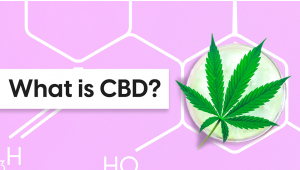What is CBD? An Informative Guide